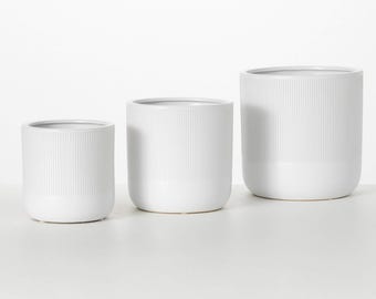 May include: Three white ceramic planters with a ribbed texture. The planters are different sizes, with the largest planter in the back and the smallest planter in the front.