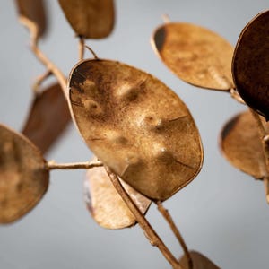 33&quot; Faux Fall Stem - Set of 2 Dried Lunaria Stem Arrangement, Fall Leaf Branches, Vase Filler, Tall Stem