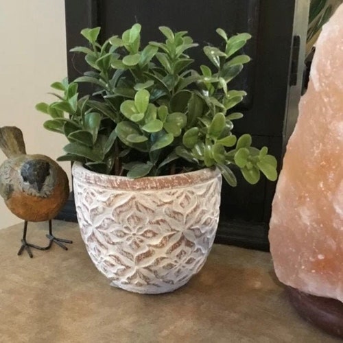 Floral Motif Concrete Planter with Drainage Hole | Cement Planter | 5 inch Plant Pot | Old World | Tuscan | French Country