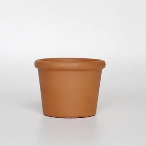 Set of 5 Terra Cotta Pots | Small Terra Cotta Pot | Succulent Pot | Clay Pot