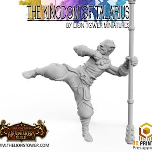 Order of the Shaolin Lotus Warrior D | Outstanding 3D Printed Fantasy Tabletop Miniatures 28mm 32mm | Dungeons and Dragons DnD D&D