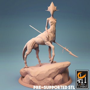 Zentaur Krieger | 3D Gedruckte Harz Miniatur | 28mm 32mm 100mm | Fantasy Charakter | für DnD & Tabletop RPG