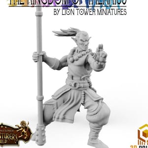 Order of the Shaolin Lotus Warrior A | Outstanding 3D Printed Fantasy Tabletop Miniatures 28mm 32mm | Dungeons and Dragons DnD D&D