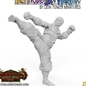 Order of the Shaolin Lotus Warrior E | Outstanding 3D Printed Fantasy Tabletop Miniatures 28mm 32mm | Dungeons and Dragons DnD D&D