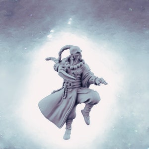 Sifu Shaolin Monk Master | Outstanding 3D Printed Fantasy Tabletop Miniatures 28mm 32mm up to 100mm | Dungeons and Dragons DnD D&D