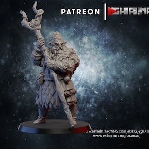 Firbolg Druid Monk | 3D Printed Resin Miniature | 28mm 32mm 100mm | Fantasy Character | for DnD & Tabletop RPG