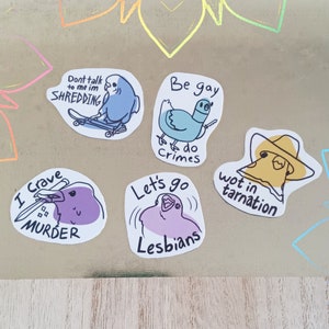 Gay Pride Bird Meme Magnets: Funny LGBTQIA+ Refrigerator Magnets