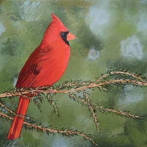 Giclee Print, Cardinal, Northern Cardinal, Male Cardinal, Red Cardinal, Bird Print