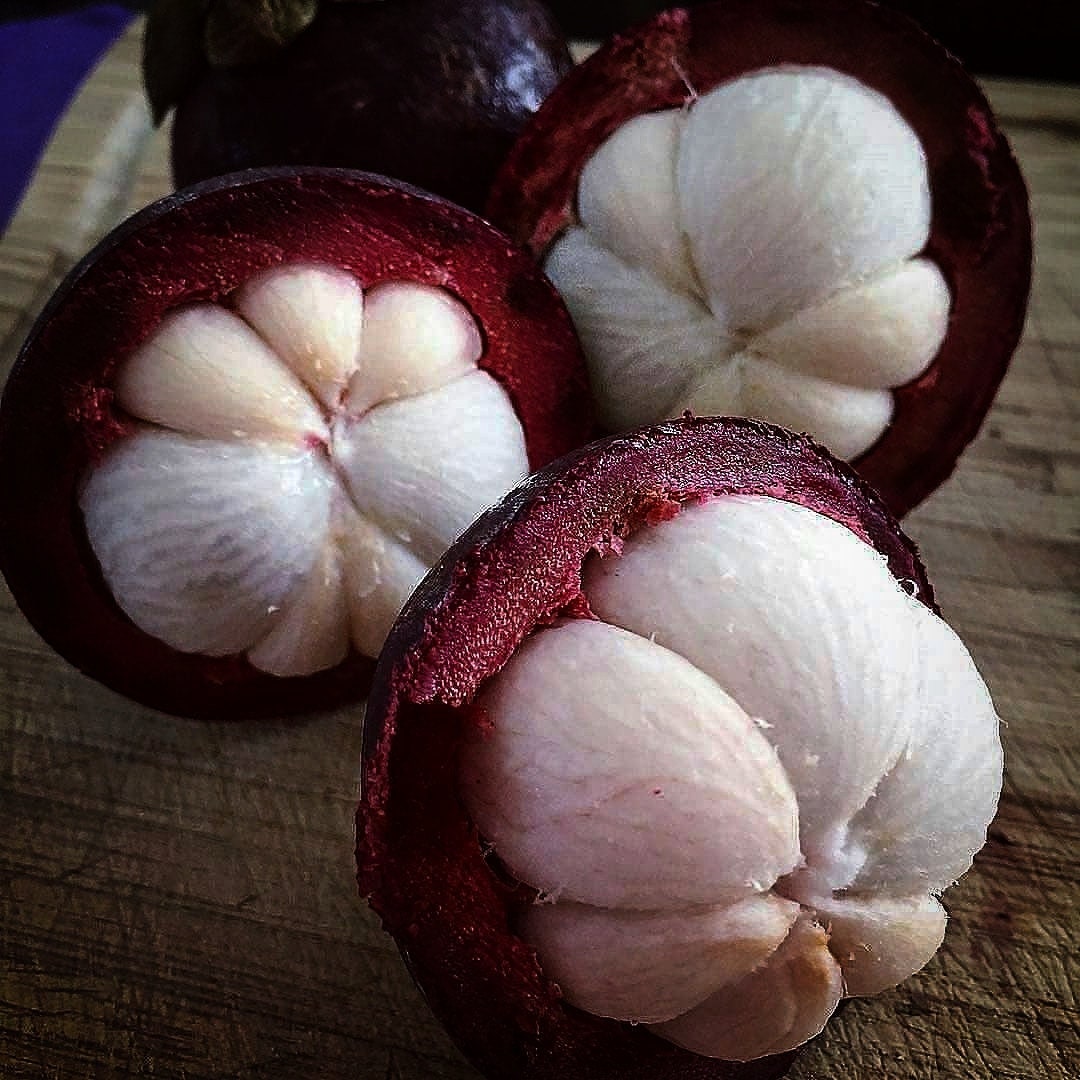 Grafted Mangosteen Fruit Tree Seeds Plant Etsy