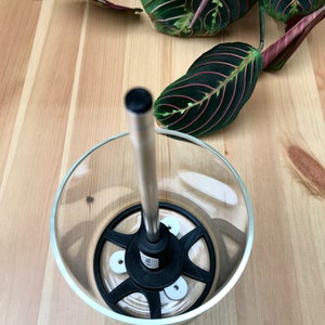 May include: A clear glass planter with a black base and a silver metal rod extending upwards. The planter sits on a light wood surface, with green and red-veined leaves of a plant in the background.