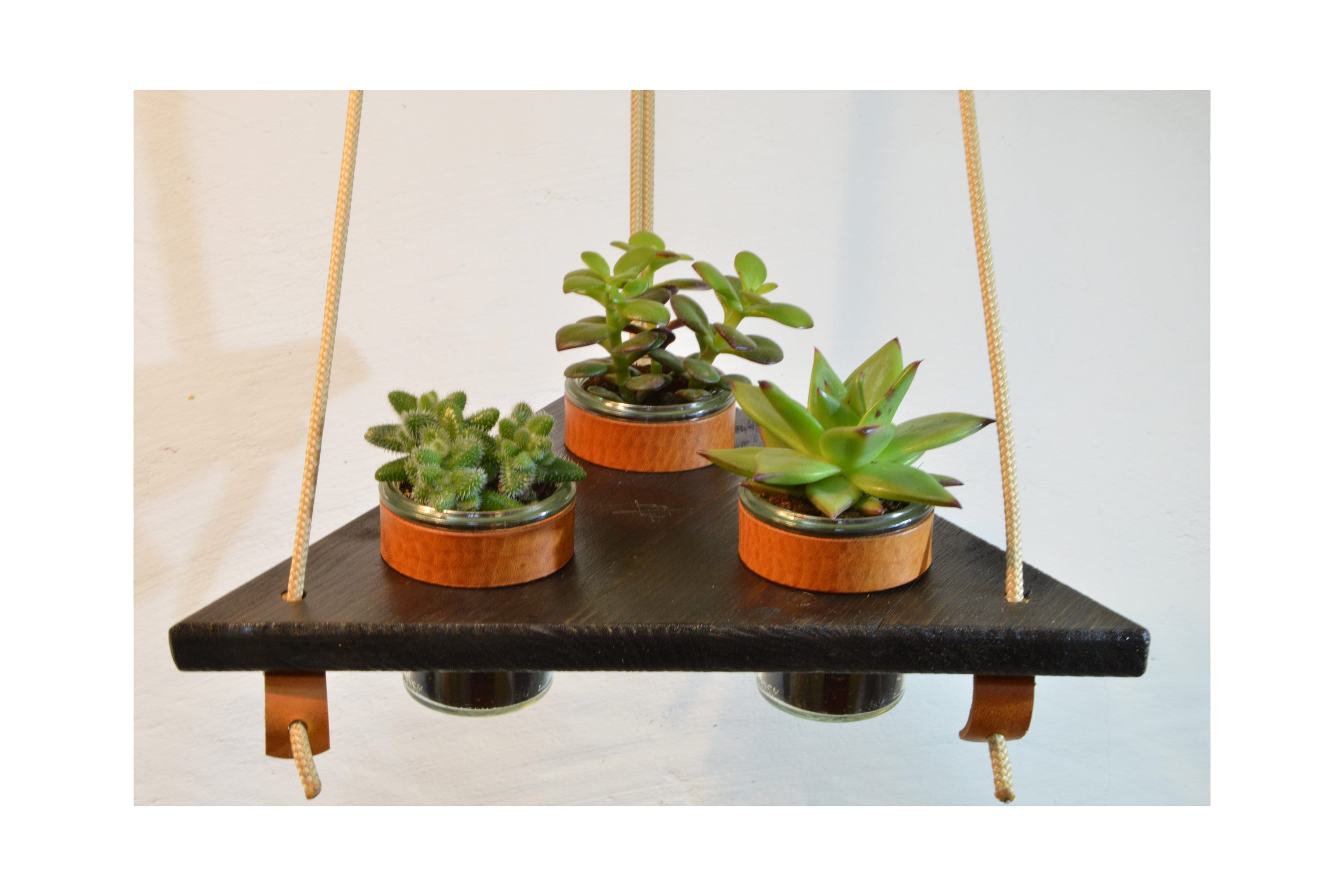 pflanzenampel aufh�ngen