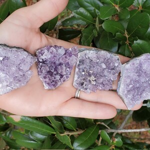Amethyst Crystal Cluster 2&quot;