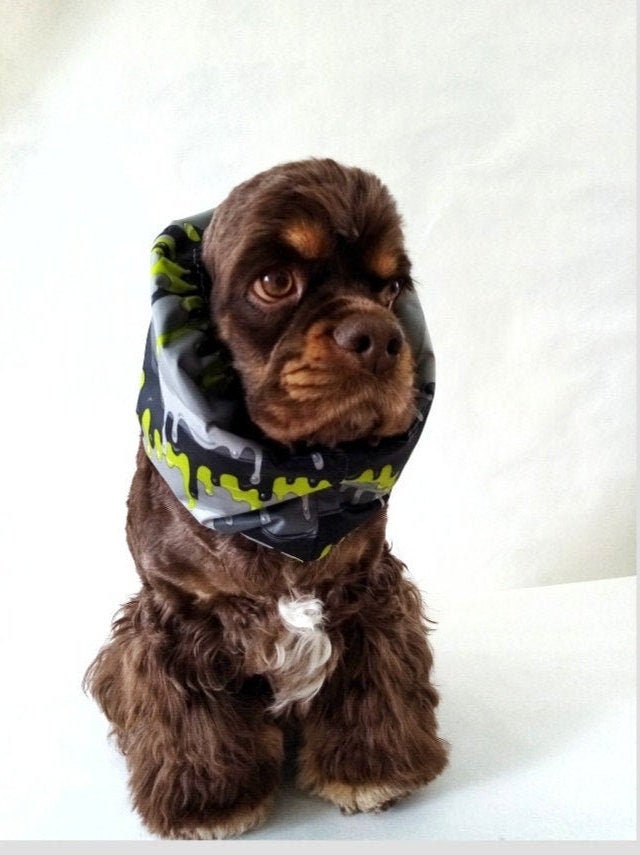 snood hund
