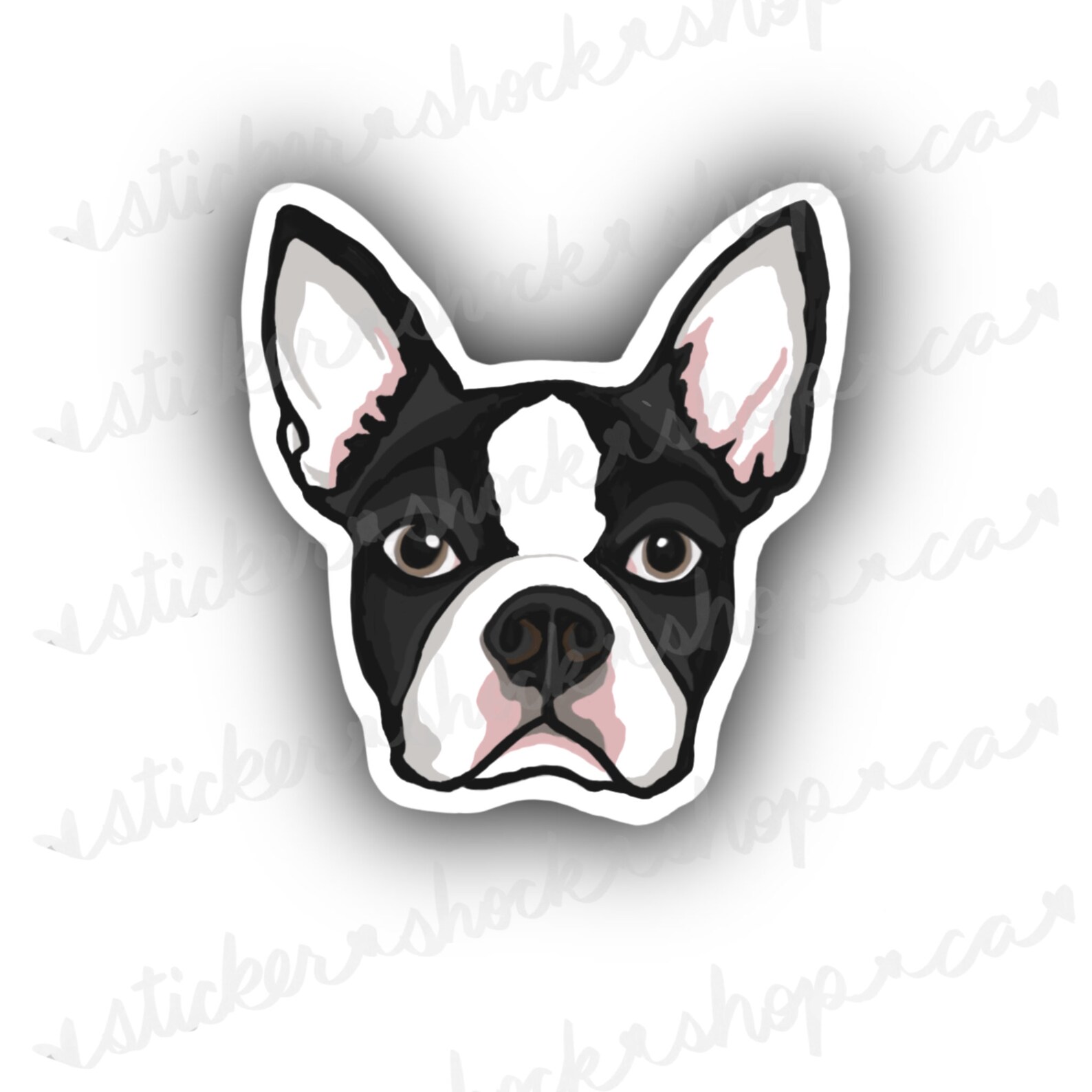 Boston Terrier Sticker | Etsy