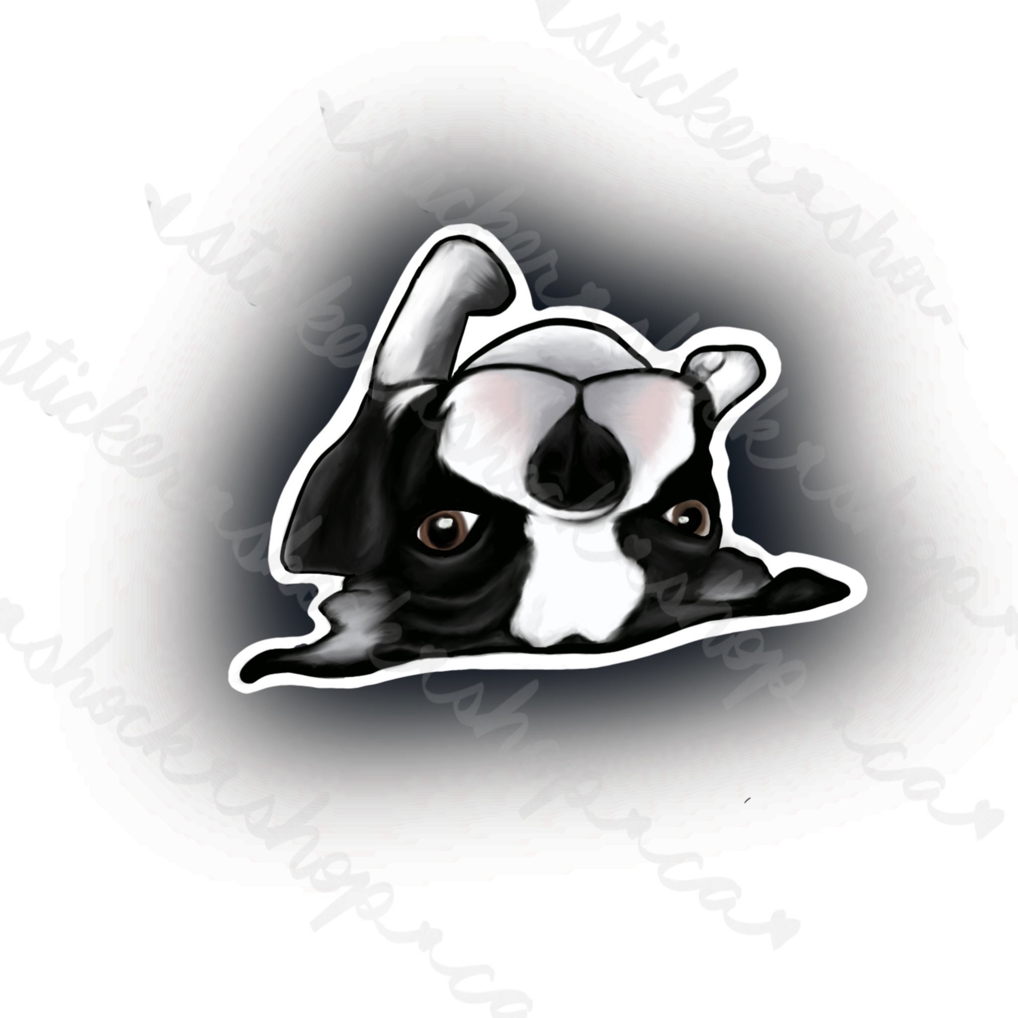 Boston Terrier Sticker | Etsy