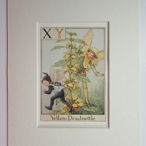 Alphabet Flower Fairy X and Y Yellow Deadnettle CICELY MARY