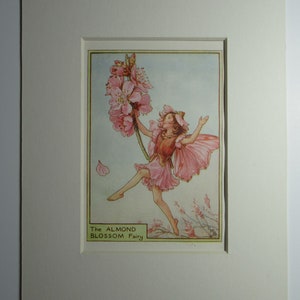 Flower Fairies/Fairy: The ALMOND BLOSSOM FAIRY, Tree Fairy, Vintage Print, 1930's/40's, by Cicely Mary Barker, Mounted