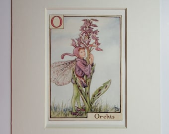 花の妖精：野バラの妖精 ヴィンテージプリント 1930年頃 シセリー