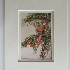 Flower Fairies/Fairy: The YEW FAIRY, Vintage Print, 1930&#39;s/40&#39;s, by Cicely Mary Barker, Autumn Fairy, Mounted