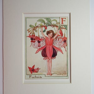 Alphabet Flower Fairies/Fairy: F for FUCHSIA FAIRY, Vintage Print, 1930's/40's, by Cicely Mary Barker, Mounted