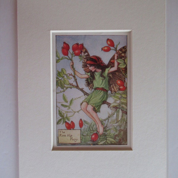 Flower Fairies/Fairy: The ROSE HIP FAIRY, Autumn Fairy, Vintage Print, 1930's/40's, by Cicely Mary Barker, Mounted