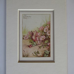 Flower Fairies/Fairy: The CONVOLVULUS FAIRY, Vintage Print, Rare, 1927, by Cicely Mary Barker, Summer Fairy, Mounted