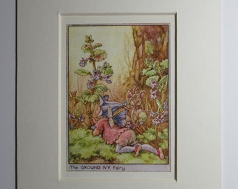 Flower Fairies/Fairy: The GROUND IVY FAIRY, Wayside Fairy, Vintage Print, 1930's/40's, by Cicely Mary Barker, Mounted