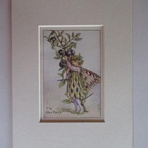 Flower Fairies/Fairy: The SLOE FAIRY, Autumn Fairy, Vintage Print, 1930&#39;s/40&#39;s, by Cicely Mary Barker, Mounted