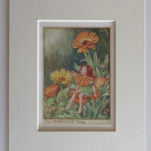 Flower Fairies/Fairy: The MARIGOLD FAIRY, Vintage Print, 1930&#39;s/40&#39;s, by Cicely Mary Barker, Garden Fairy, Mounted