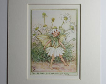 花の妖精: 無臭のメイウィードの妖精 ヴィンテージプリント 1930年頃