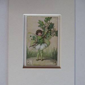 Flower Fairies/Fairy: The MAY FAIRY, Spring Fairy, Vintage Print, 1930&#39;s/40&#39;s, by Cicely Mary Barker, Mounted