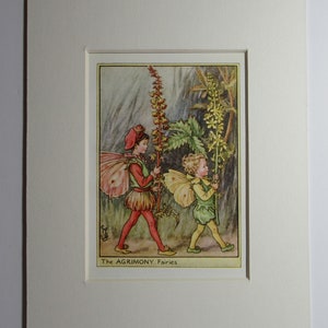 Può includere: Due fate, una vestita di rosso e verde, l'altra di verde e giallo, camminano in un bosco portando alti steli di fiori gialli e rosa. Il testo sottostante dice "The AGRIMONY Fairies".