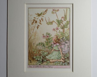 Flower Fairies/Fairy: The STORK'S BILL FAIRY, Wayside Fairy, Vintage Print, 1930's/40's, by Cicely Mary Barker, Mounted