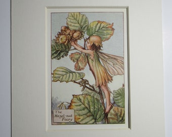 Flower Fairies Pop-up Theatre Book by Cicely Mary Barker, Flower