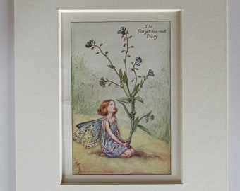 Könnte beinhalten: Gerahmte Illustration einer Fee mit blauen Schmetterlingsflügeln, die neben einer hohen Pflanze mit blauen Blüten kniet. Der Text "The Forget-me-not Fairy" steht über dem Bild. Das Kunstwerk ist in einem weißen Passepartout.