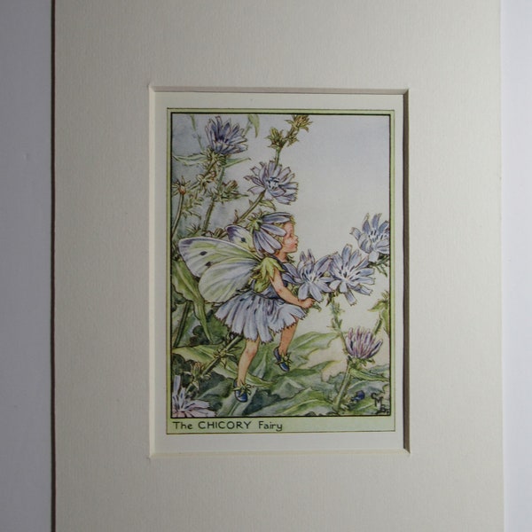 Blumenfeen/Fee: Die CHICORY FEE, Wayside Fairy, Vintage Print, 1930er/40er Jahre, von Cicely Mary Barker, Mounted