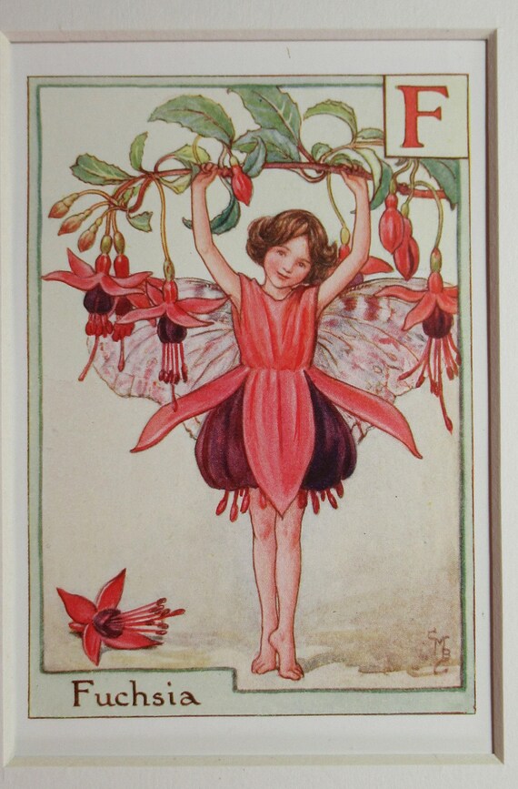 Flower Fairies Alphabet Coloring Book by Cicely Mary Barker