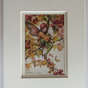Flower Fairies/Fairy: The HAWTHORN FAIRY, Vintage Print, 1930&#39;s/40&#39;s, by Cicely Mary Barker, Autumn Fairy, Mounted