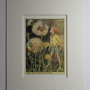 Flower Fairies/Fairy: The Jack go to bed at Noon FAIRY, Wayside Fairy, Vintage Print, 1930&#39;s/40&#39;s, by Cicely Mary Barker, Mounted