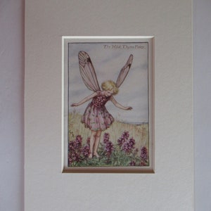 Flower Fairies/Fairy: The WILD THYME FAIRY, Summer Fairy, Vintage Print, 1930&#39;s/40&#39;s, by Cicely Mary Barker, Mounted