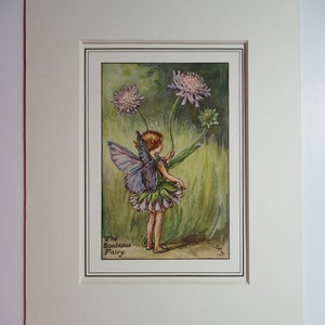 Flower Fairies/Fairy: The SCABIOUS FAIRY, Vintage Print, Rare, 1927, di Cicely Mary Barker, Summer Fairy, Mounted