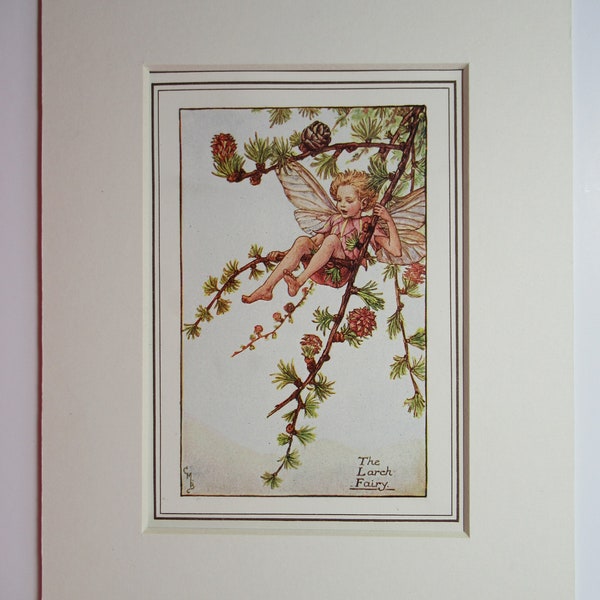 Flower Fairies/Fairy: The LARCH FAIRY, Vintage Print, Rare, 1927, by Cicely Mary Barker, Spring Fairy, Mounted