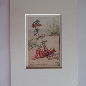 Flower Fairies/Fairy: The SCARLET PIMPERNEL FAIRY, Summer Fairy, Vintage Print, 1930&#39;s/40&#39;s, by Cicely Mary Barker, Mounted