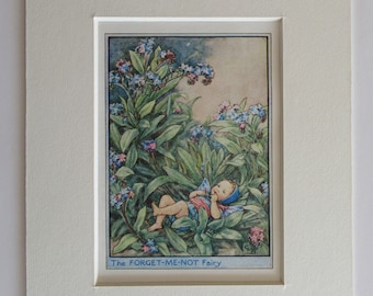Flower Fairies/Fairy: The FORGET ME NOT Fairy, Vintage Print, 1930's/40's, by Cicely Mary Barker, Garden Fairy, Mounted