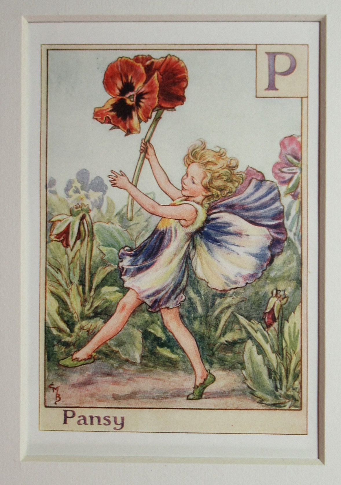 Flower fairies Alphabetの妖精 Alphabet Flower Fairies/fairy: Z for ZINNIA FAIRY, Vintage