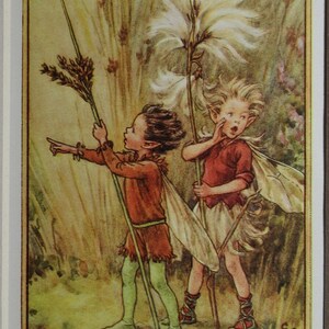 May include: Two fairies, one with brown hair and one with blonde hair, stand in a field of tall grass. The fairy with brown hair holds a stalk of rush grass and points to the right. The fairy with blonde hair holds a stalk of cotton grass and looks surprised. The text "The RUSH-GRASS & COTTON-GRASS Fairies" is at the bottom of the image.