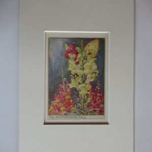 Flower Fairies/Fairy: The SNAPDRAGON FAIRY. Garden Fairy, Vintage Print, 1930&#39;s/40&#39;s, by Cicely Mary Barker, Mounted