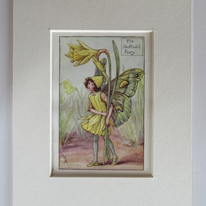 Flower Fairies/Fairy: The DAFFODIL FAIRY, Vintage Print, 1930&#39;s/40&#39;s, by Cicely Mary Barker, Spring Fairy, Mounted