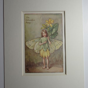 Flower Fairies/Fairy: The CELANDINE FAIRY, Vintage Print, Spring Fairy,  1930&#39;s/40&#39;s, by Cicely Mary Barker, Mounted