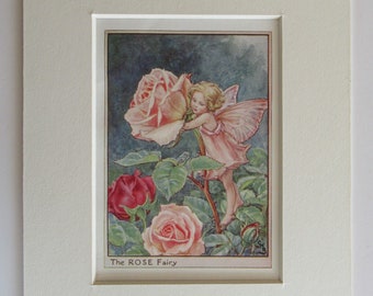 Flower Fairies: the WILD ROSE FAIRY Vintage Print C1930 by Cicely